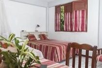 Roseau Valley Hotel Dış mekan fotoğraf