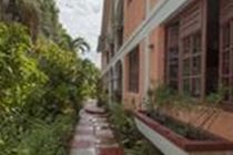 Roseau Valley Hotel Dış mekan fotoğraf